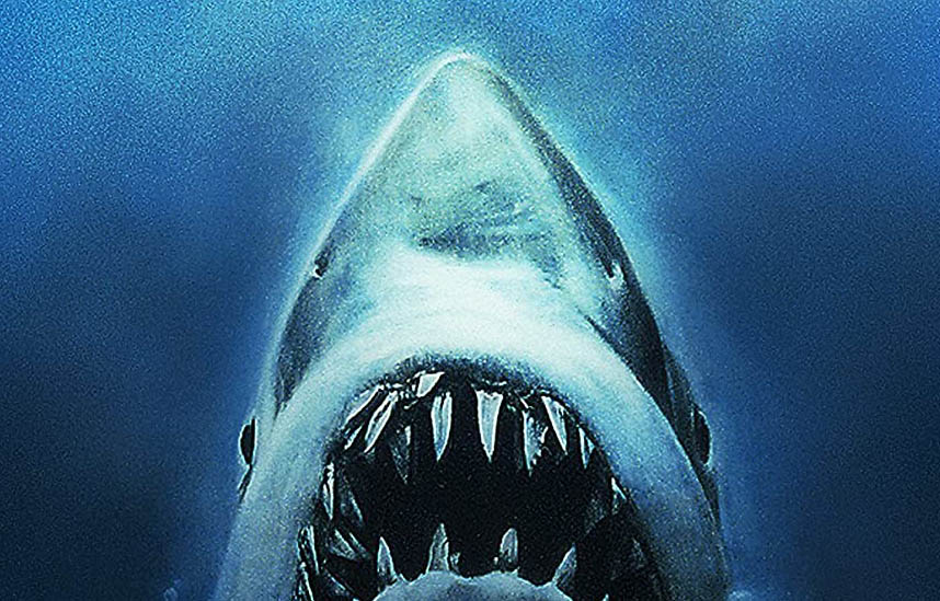 jaws movie poster vintage feature